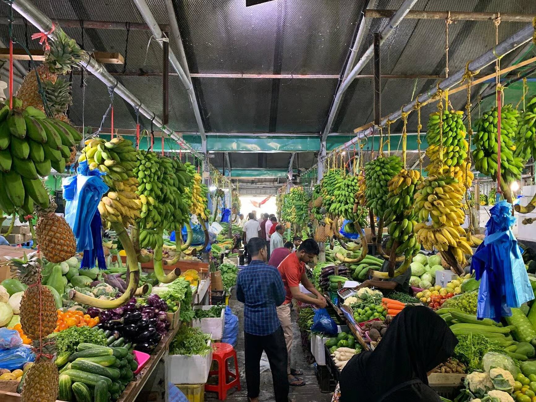 Property Image 6, Ship Image, BookMe Accommodation, Comfortable Stay, Affordable Prices.