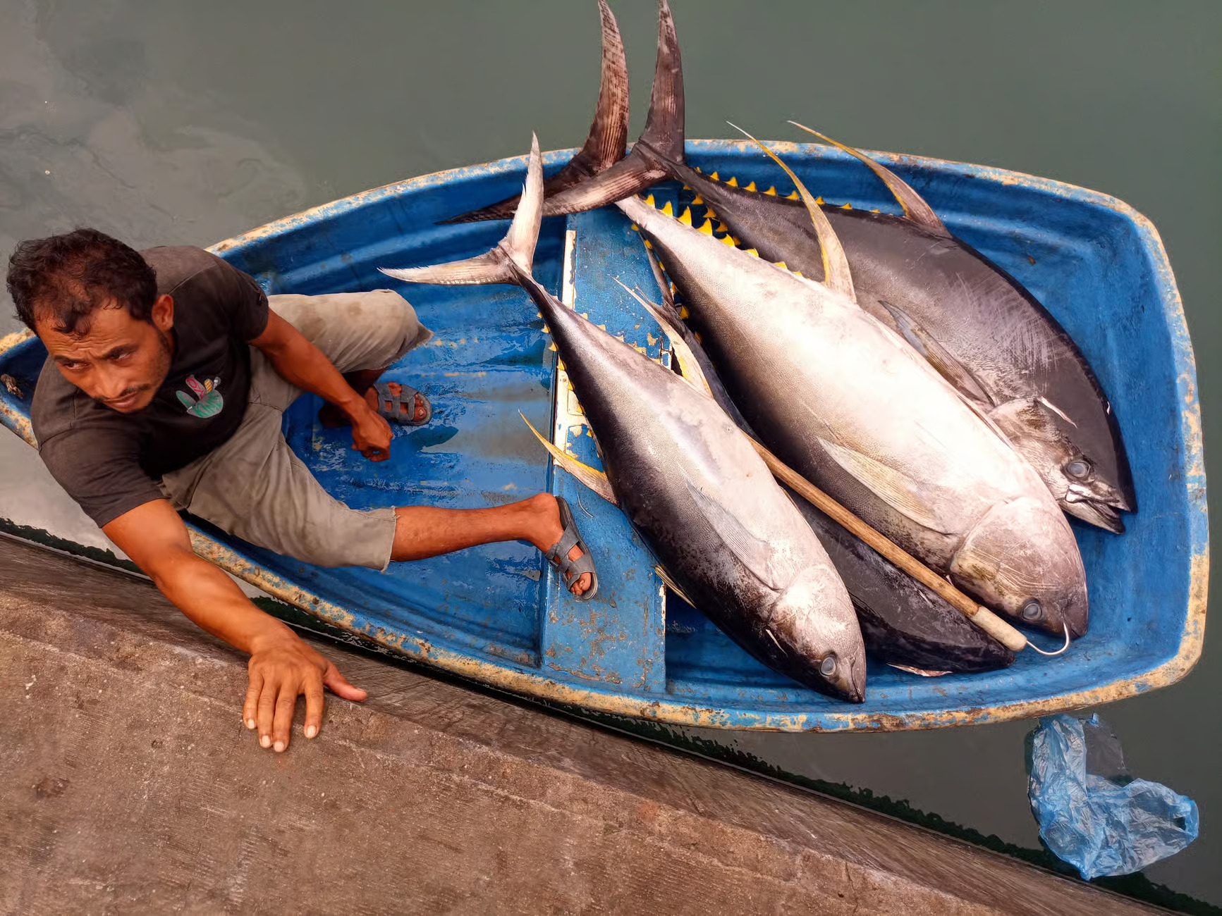 Property Image 4, Ship Image, BookMe Accommodation, Comfortable Stay, Affordable Prices.