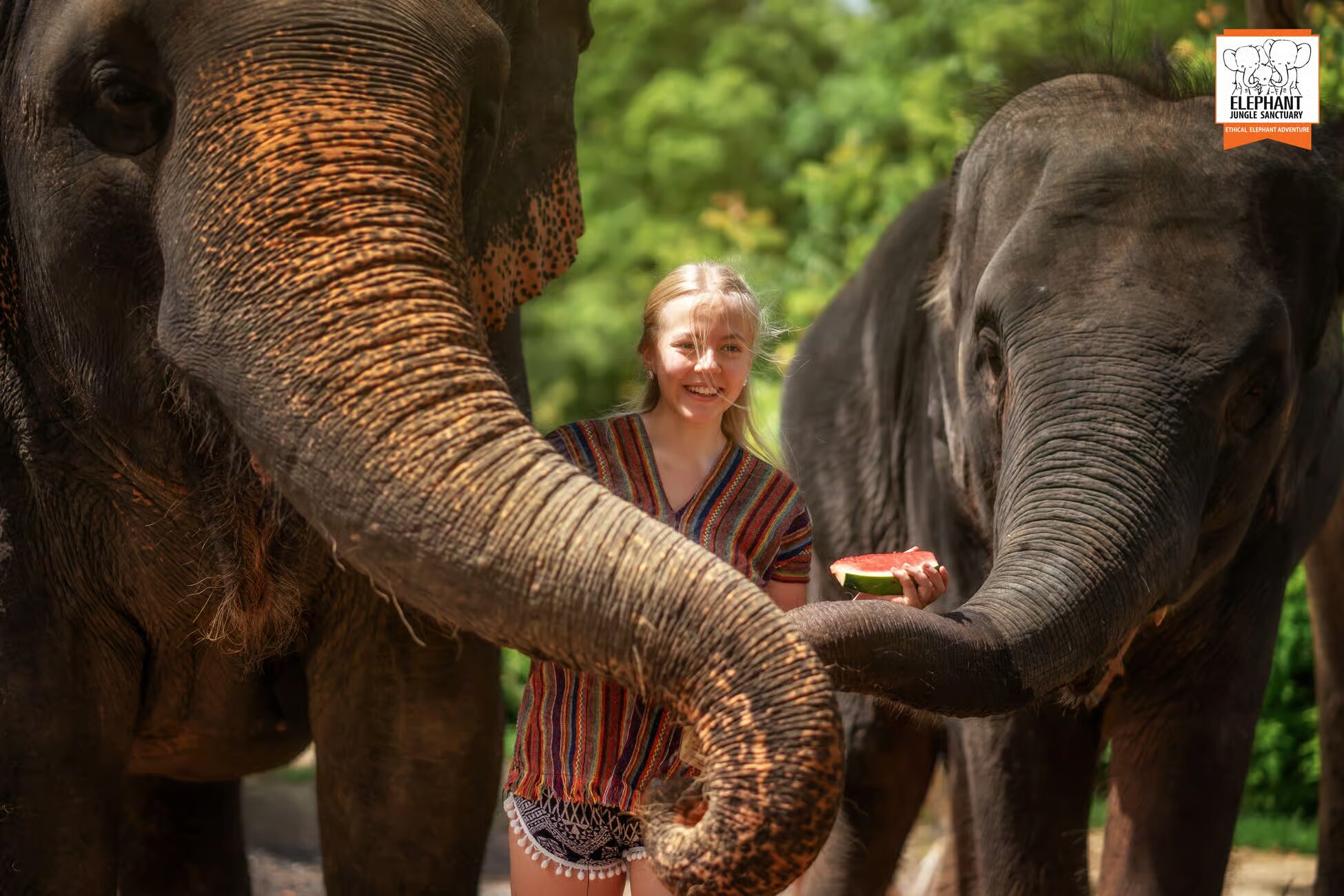 Property Image 3, Ship Image, BookMe Accommodation, Comfortable Stay, Affordable Prices.