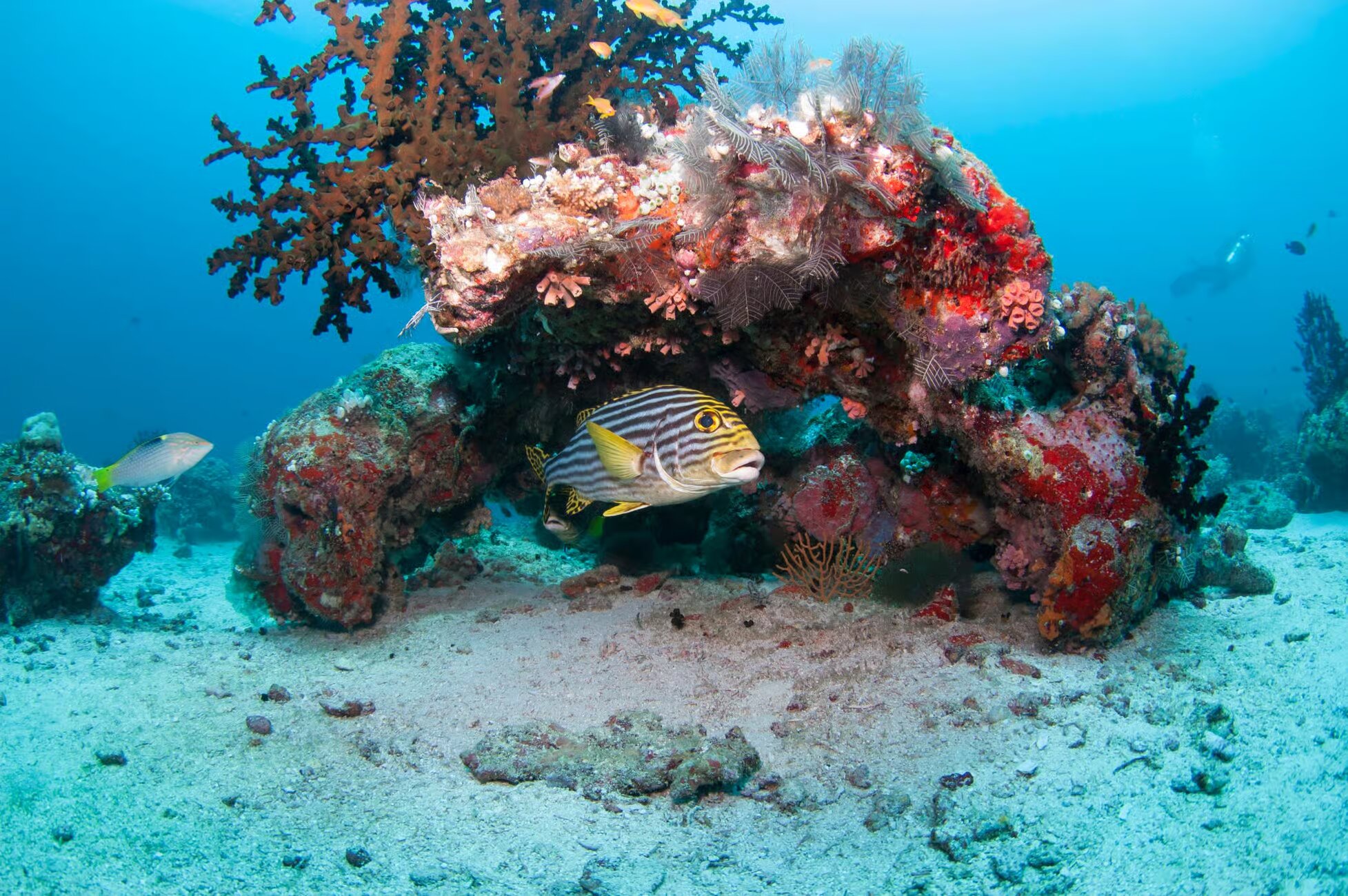 Property Image 2, Ship Image, BookMe Accommodation, Comfortable Stay, Affordable Prices.