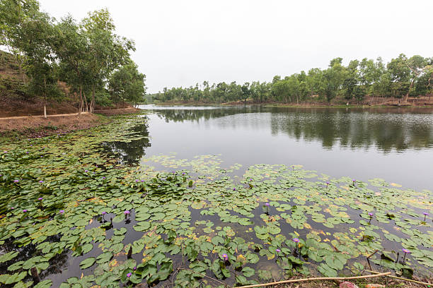 Property Image 8, Ship Image, BookMe Accommodation, Comfortable Stay, Affordable Prices.