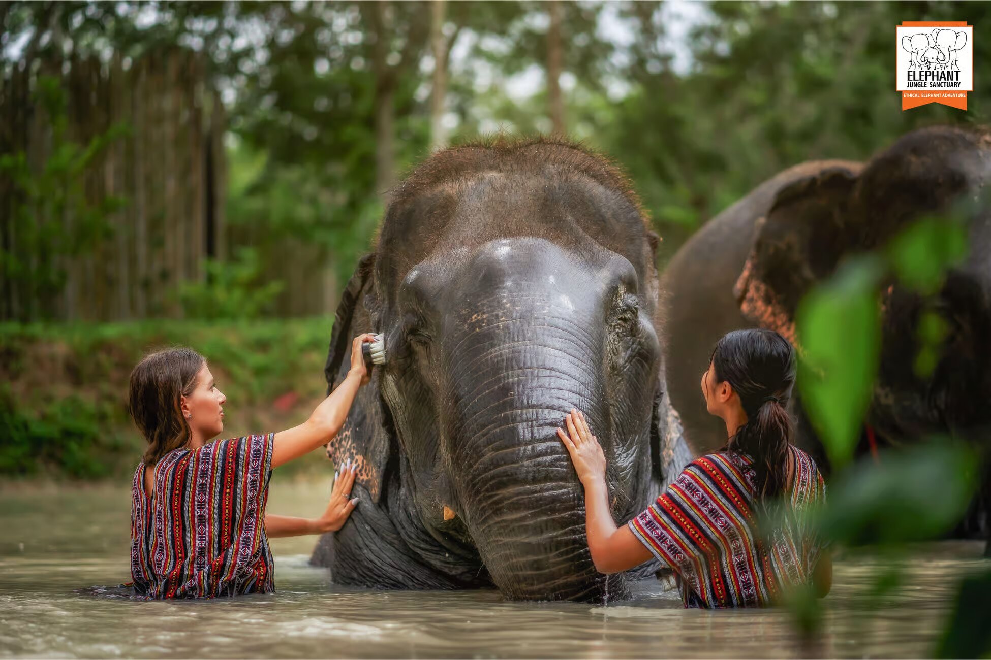 Property Image 8, Ship Image, BookMe Accommodation, Comfortable Stay, Affordable Prices.