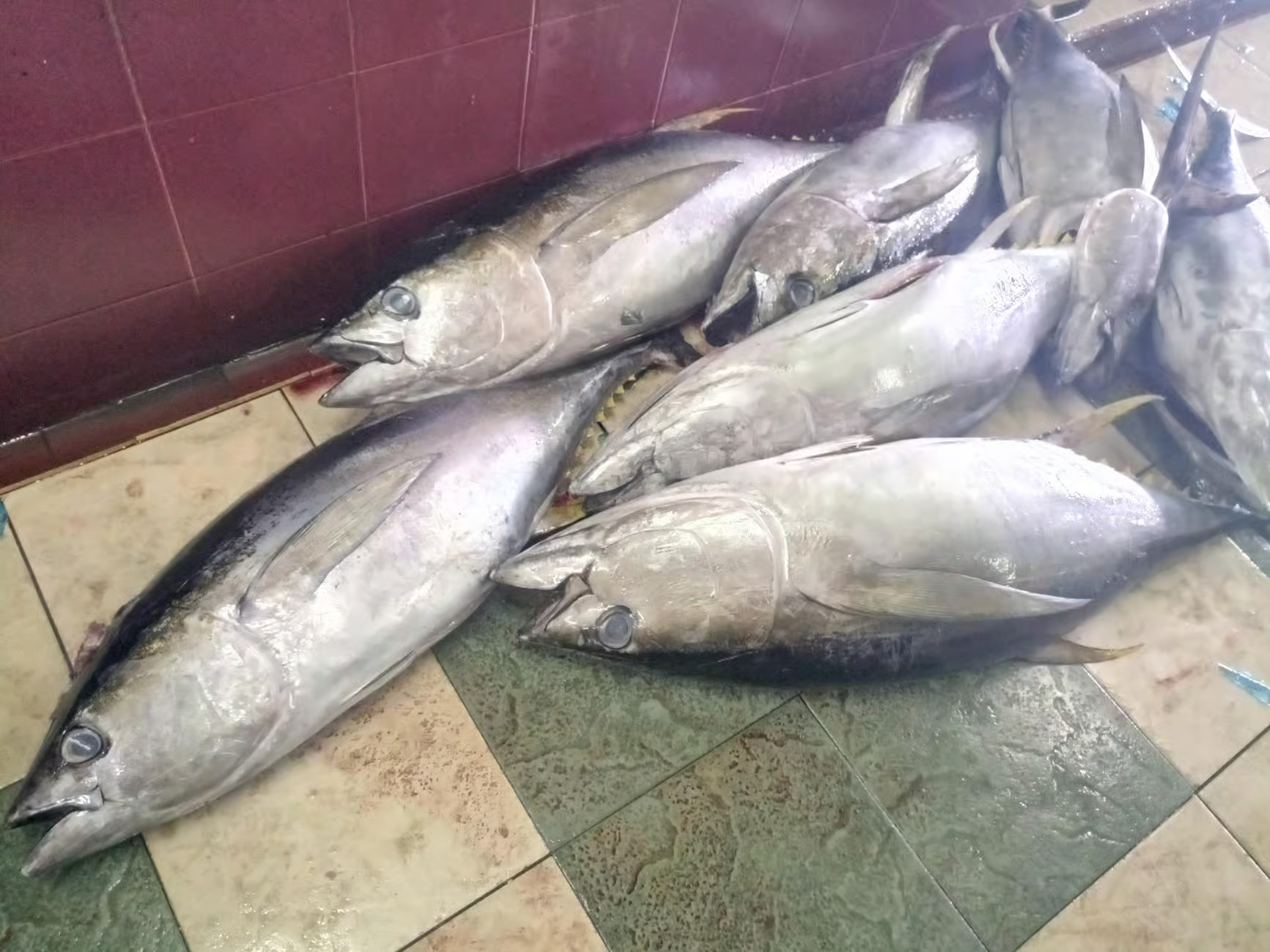 Property Image 6, Ship Image, BookMe Accommodation, Comfortable Stay, Affordable Prices.