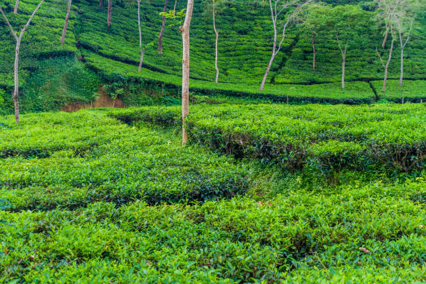 Property Image 11, Ship Image, BookMe Accommodation, Comfortable Stay, Affordable Prices.