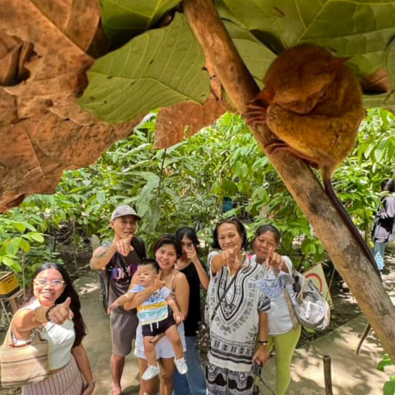 Property Image 7, Ship Image, BookMe Accommodation, Comfortable Stay, Affordable Prices.