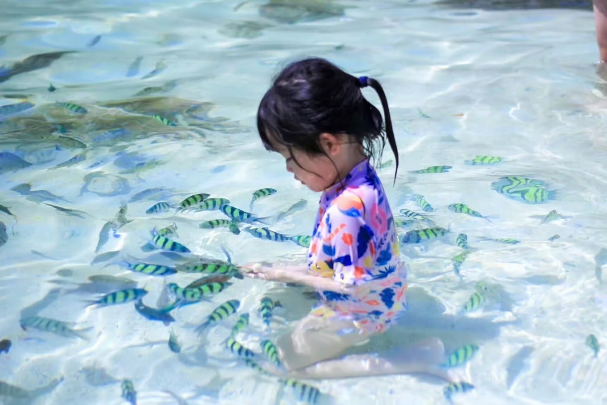 Property Image 6, Ship Image, BookMe Accommodation, Comfortable Stay, Affordable Prices.