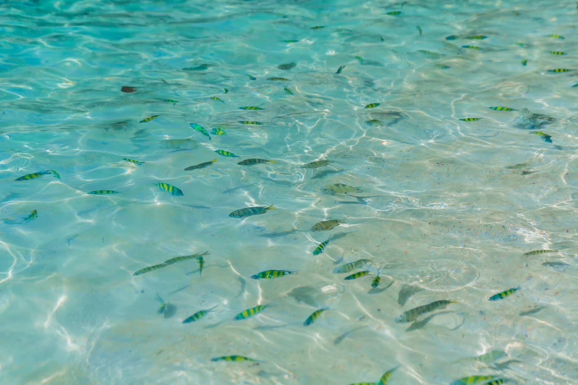 Property Image 5, Ship Image, BookMe Accommodation, Comfortable Stay, Affordable Prices.