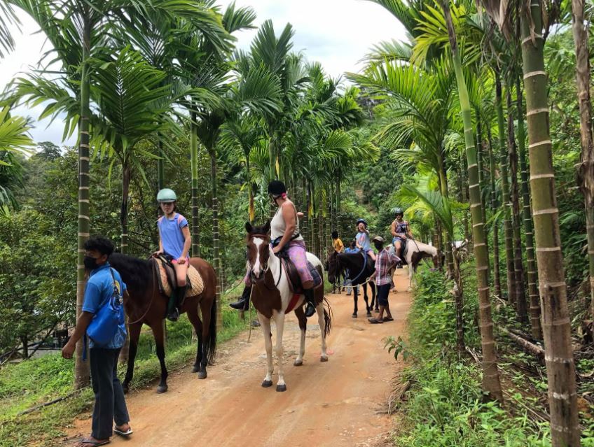 Image of Phuket Jungle Horseback Ride with Scenic Forest Views tour package, BookMe Travel Service, Exciting Tour Packages Available, Affordable Prices. Travel Activities.