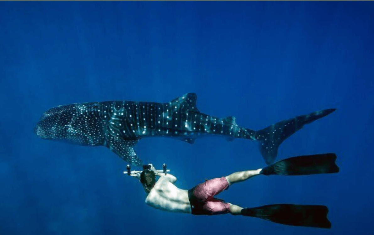 Image of Check-out from Resort, Itinerary Activity, Travel Experience, BookMe Tours.